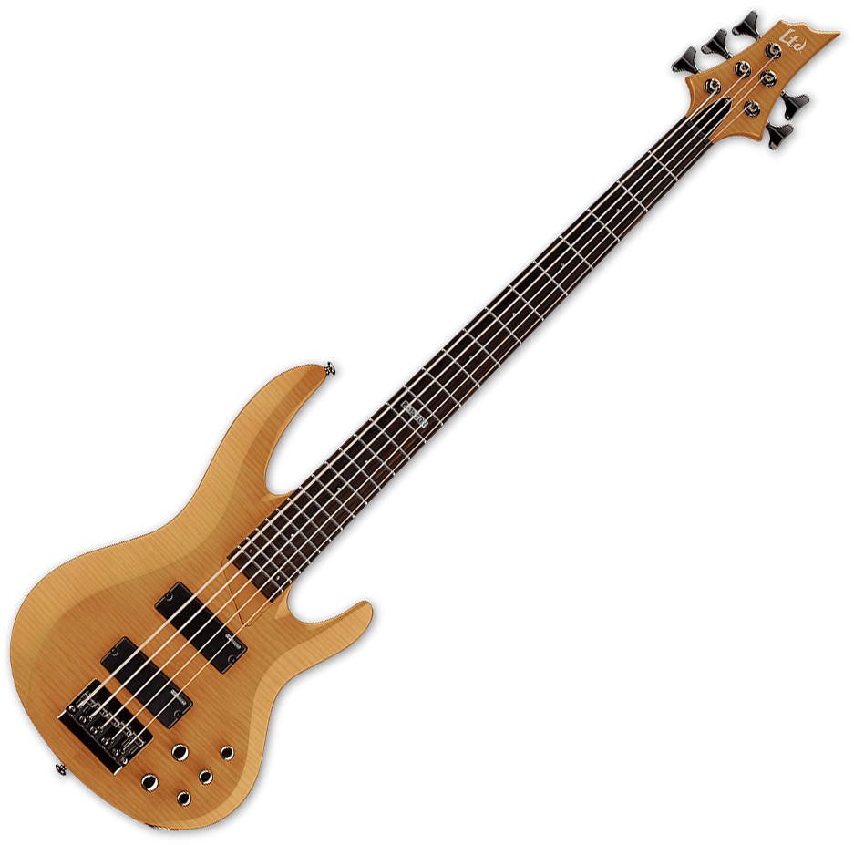 ESP LTD B-155DX Flamed Maple Top 5-String Electric Bass Honey Natural