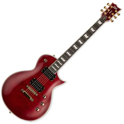 ESP LTD EC-1000T CTM Guitar See Thru Black Cherry, LEC1000TCTMFMSTBC