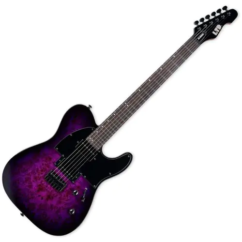 ESP LTD TE-200DX Electric Guitar Purple Burst, LTE200DXPRB