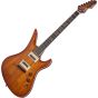 Schecter Avenger Exotic Electric Guitar Spalted Maple, 580