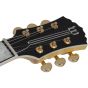 Wylde Audio Odin Grail Genesis Bullseye Electric Guitar, WYLDE4513