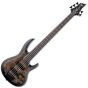 ESP LTD B-5E Burled Poplar Electric Bass Charcoal Burst Satin, LB5EBPCHBS