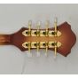 Ibanez M700S-AVS Mandolin Antique Violin Sunburst B-Stock, M700S-AVS