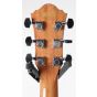 Ibanez AEW14LTD1 Exotic Wood Series Rare Limited Bubinga Acoustic Electric Guitar, AEWSPCNT