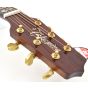 Takamine Custom Shop SG-CPD-AC1 Acoustic Guitar SN #2, TAKSGCPDAC1 2